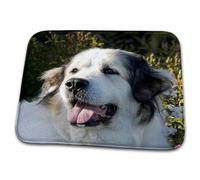 Tapis De Porte Portrait d'un Chien des Pyrénées Paillasson Extérieur Lavable Doux Tapis De Sol Antidérapant, pour Chambre, Salon, Baignoire, 40x60cm