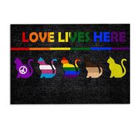 Tapis De Porte Soutien LGBT LGBTQ Mois des Fiertés pour 40X60CM | Paillasson d'entrée Antidérapant Tapis de Bain Pour Cuisine