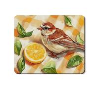 Tapis de protection pour lave-linge motif oiseaux et agrumes, style vintage rustique à plumes, tapis décoratif printanier en caoutchouc antidérapant et imperméable pour linge, 50,8 x 61 cm