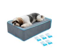 Tapis de refroidissement pour animaux de compagnie - Lit pliable lavable pour chien avec 5 packs de glace 20,3 x 15 x 5,5 pouces, coussin de soulagement de la chaleur d'été | Sleeping léger portable