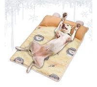 Tapis de refroidissement pour chien, animal domestique | Tapis de glace avec oreiller pour cage, chenil, canapé, voiture, temps chaud, chambre à coucher, post-exercice, intérieur et extérieur