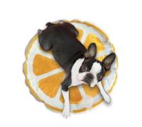 Tapis de refroidissement pour chiens, tapis de refroidissement du chat,Pade sensorielle à l'eau pour chaton | Modèle de fruits créatifs Pitre de refroidissement rond PAD SENSORY pour le repos et le so