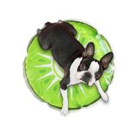 Tapis de refroidissement pour chiens, tapis de refroidissement pour chats, chats d'eau sensorielle - Motif de fruits de voyage autour du coussin de refroidissement à l'eau glacée pour