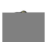 Tapis de salle de bain gothique, tapis de salle de bain d'Halloween, tapis de toile d'araignée, super absorbant, noir pour porte d'entrée, baignoire