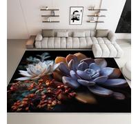 Tapis de Salon 160 x 230 cm - imprimé Photographie Plantes Succulentes Plantes, antidérapant Fin Lavable Pliable, Couleur pour l'intérieur Le Bureau la Chambre à Coucher la Cuisine