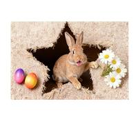 Tapis de salon 2026 - Un tapis de lapin de Pâques - Une touche de joie ludique pour vous, adapté à tout le monde donne une sensation de Noël ! (B, taille unique)