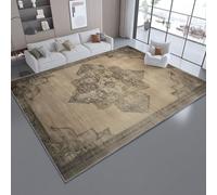 Tapis De Salon 40 x 60 cm, Rétro Abstrait Géométrique Symétrique Lavable Motif Dessous AntidéRapant Tapis DéCoratif - Neutre AntiqueIdéAl pour Les Zones à Fort Trafic dans Le Foyer