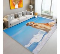 Tapis De Salon 80 x 150 cm 3D Gros Plan Neige Animal Golden Retriever Imprimer Antidérapant Lavable en Intérieur Tapis De Sol Lavable en Machine pour Canapé Couloir Chambre Coloré