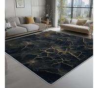 Tapis de Salon Imprimé Paysage Topographie des Veines 60 x 120 cm, Noir Entretien Facile Intérieur Moquette - Doux Au Toucher, Lavable, Antitache, Ne Perd Pas Ses Poils pour Chambre d'enfant