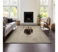 Tapis De Salon Moderne À Poils Courts avec Motif Géométrique 3D Effet Fallout New Vegas (Fallout 01,45x120cm)