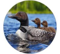 Tapis de Salon Rond 90 cm, Doux Poil Courts Nature Lac Oiseau Huard Imprimé Intérieur Dessous antidérapant Non Pelucheux Couleur Tapis Rond - pour Salon Chambre Cuisine