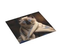 Tapis de séchage à vaisselle motif chat sur couverture absorbant en microfibre pour comptoir de cuisine, égouttoir pour comptoir, égouttoir