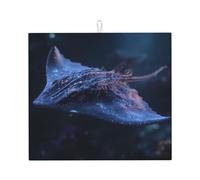Tapis de séchage pour cuisine HHGFASD lumineux Motif rayons de la mer profonde Ultra absorbant, réversible et élégant Tapis de comptoir de cuisine