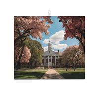 Tapis de séchage pour cuisine Wzywhj Beautiful Campus Impression en éponge absorbant l'eau 45,7 x 40,6 cm