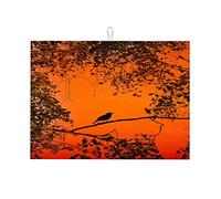 Tapis de séchage pour vaisselle, motif oiseau, merle, nature, printemps, arbre, grand format, durable, petit format, 40,6 x 45,7 cm
