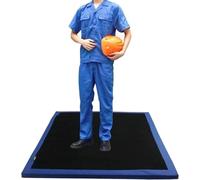 Tapis de sol désinfectant en éponge antidérapant pour désinfecter les chaussures à l'entrée, idéal pour la maison et l'hôtel