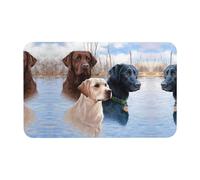 Tapis de sol en diatomée Labrador Retrievers - Pour salle de bain, douche, salle de bain - Tapis d'entrée - Tapis en caoutchouc pour chambre à coucher