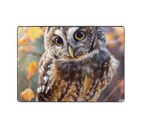 Tapis de sol en flanelle avec imprimé chouette mignonne - 203,2 x 147,3 cm - Tapis de sol doux en mousse à mémoire de forme qui ne perd pas ses poils - Tapis chaud et silencieux pour chambre à coucher