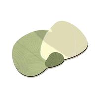 Tapis de sol en forme de diatomée de forme spéciale pour salle de bain Motif feuilles vertes 40 x 60 cm