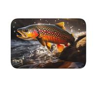 Tapis de sol en velours cristal 40 x 60 HJFCZH Brook Trout Fly Fishing Imprimés Hydrofuge Antidérapant Confortable et Doux pour porte de salle de bain