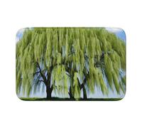 Tapis de sol épais antidérapant avec imprimé saule YYHWHJDE - Facile à nettoyer, durable, résistant à la décoloration, parfait pour les toilettes et la salle de bain - 60 x 40 cm