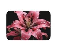 Tapis de sol épais antidérapant BROLEO à pois roses imprimé antidérapant, facile à nettoyer, durable, parfait pour les toilettes et la salle de bain 60 x 40 cm