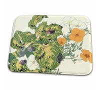 Tapis De Sol Estampe Japonaise sur Bois Représentant Une Fleur De Californie, Art Traditionnel Facile À Nettoyer Paillasson Intérieur Robuste Paillassons pour Couloirs Hall D'Entrée Salons