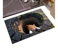 Tapis De Sol Hole - Tissu Doux 78,7 X 50,8 Cm, Zone D'art Abstrait, Tapis D'entrée Amusant | Accueillir Des Amis Famille Couloir Canapé Côté Bureau Intérieur Extérieur Patio Porche Halloween Fa