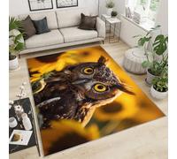 Tapis de sol motif chouette mystérieuse pour chambre d'enfant, chambre d'enfant, salon, lavable, ne perd pas ses poils - 50 x 80 cm