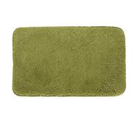 Tapis de sol petit balcon tapis de sol tapis de maison tapis de bienvenue tapis jour décor maison chambre salle de bain produits cheveux longs 40 x 60 cm tapis de sonnette de chat (vert, taille