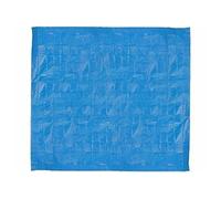 Speeron Tapis de sol pour piscine gonflable - 490 x 490 cm