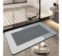 Tapis de sol super absorbant, séchage rapide, tapis de salle de bain simple, lavable en machine, grand tapis de salon, fond antidérapant en caoutchouc (40 x 60 cm, rectangulaire gris clair)