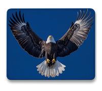 Tapis de Souris - 320 x 260 x 3mm, Tapis Souris d'Ordinateur, Base Caoutchouc Anti-Dérapant, Glissement Facile, Résistant, Portable sous Main Bureau Animal pour PC, Ordinateur, Aigles (2) c0-198