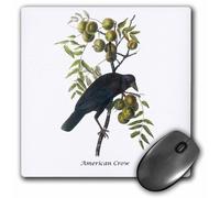 Tapis de souris 3Drose LLC 20 x 20 x 6 cm, American Crow de John James Audubon (Mp_114049_1)