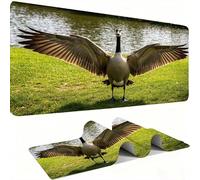 Tapis de Souris AAA XXL 800 x 300 mm Grand Tapis de Bureau Bords Cousus Imperméable Antidérapant,Ordinateur Portable Améliore la précision et la Vitesse. Gamer, Ordinateur, L'oie Animaux 1 w0w-1166