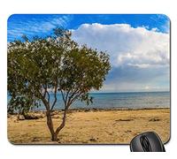 Tapis De Souris, Arbre Plage Mer Ciel Nuages Nature Horizon Calme Tapis Souris Antidérapante Mousepad Bords Cousus Tapis De Gaming pour Pc Ordinateur Professionnels 25X30Cm