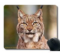 Tapis de souris avec bords cousus Lynx Predator Big Cat Face 51413