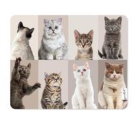 Tapis de souris bande de chat I 24 x 19 cm I Chats mignons I Tapis de souris de taille standard antidérapant I pour garçons filles et femmes I Cat-Gang Visages de chats I dv1246