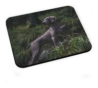 Tapis de souris Braque de weimar gros chien gris magnifique photo exterieur Gris G