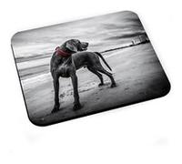 Tapis de souris Braque de weimar gros chien gris plage photo mignon Gris G