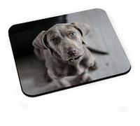 Tapis de souris Braque de weimar jeune chiot gros chien gris photo mignon Gris