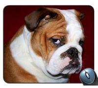 Tapis de souris Bulldog anglais v32 (220 x 180 x 3)