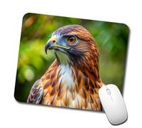 Tapis De Souris, Buse À Queue Rousse Rapace Oiseau De Proie Lavable Mousepad Portable Tapis Souris pour Bureau Claviers Ordinateur 25X30cm