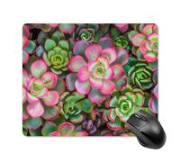 Tapis De Souris, Cactus Succulents en Fleurs du Sud-Ouest Optimisé Mouse Pad Durable Souris De Bureau pour Joueurs Ordinateur Bureau 25X30cm