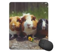 Tapis de souris carré avec base en caoutchouc antidérapant, motif cochon d'Inde amusant avec bords cousus 25,4 x 30,5 cm, pour souris sans fil, ordinateur, ordinateur portable, maison, bureau