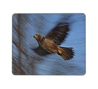 Tapis de souris carré avec bords cousus - Petit tapis de souris 25,4 x 30,5 cm pour souris sans fil, photo du cerf-volant rouge pour ordinateur portable, jeux, bureau et décoration d'intérieur
