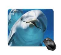 Tapis de souris carré avec dauphin avec un sourire - Tapis de souris portable avec base en caoutchouc antidérapant - 20 x 25 cm - Tapis de souris de jeu ultra fin pour ordinateur portable et bureau