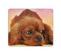 Tapis de Souris, Cavalier King Charles Spaniel, Tapis de Souris à Base de Caoutchouc antidérapant, Tapis de Souris étanche 12 × 10 Pouces pour Le Bureau