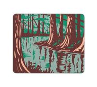 Tapis De Souris Cèdres du Parc National De Congaree Base en Caoutchouc Anti-Dérapant Tapis De Souris Gaming Lavable Mousepad pour Pc Maison Bureau 25X30Cm