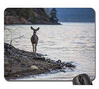 Tapis De Souris, Cerf Mulet Biche Faune Nature Eau Rive du Lac Tapis Souris Antidérapante Mousepad Confort sous Main Bureau pour Professionnels Jeux Souris 25X30Cm